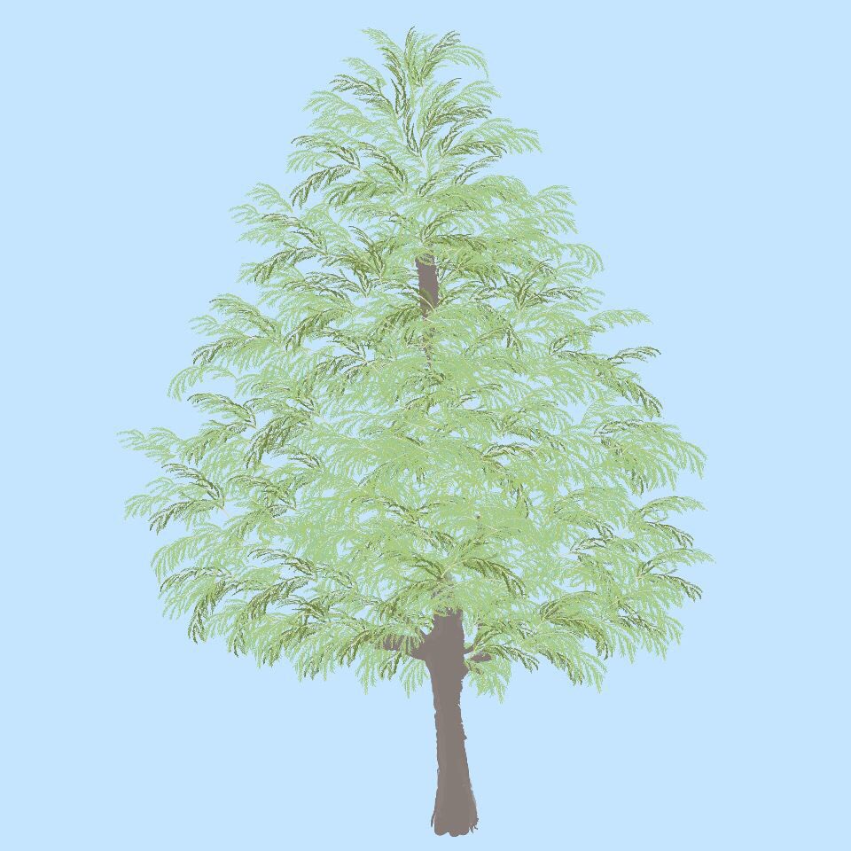 ISCEventPlanner's tweet photo. This week we will be showcasing one final tree of the week, the Bald Cypress!! #HonoringTrees https://t.co/1xto9cqlWv