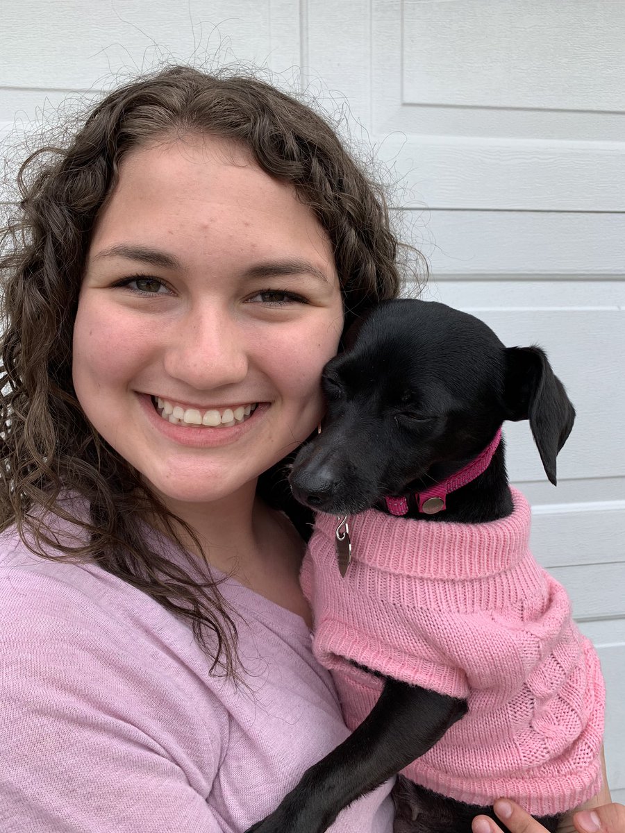 lizzie_lietaert's tweet photo. Spirit week day 1! 🐶😻😻
#BHSvirtualSpiritWeek 
@BHSStudentCoun https://t.co/H3u68sGIxX