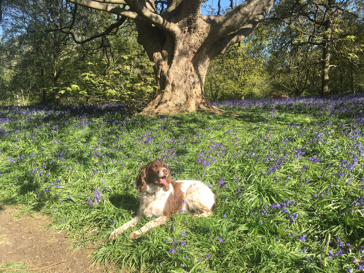 Kate Atkin PhD tweet media