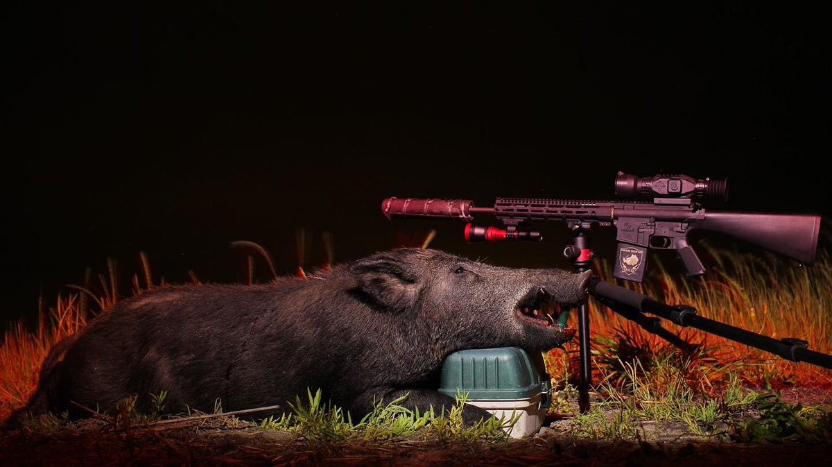 Sightmark's tweet image. Mondays are for pork chops and bacon...provided by the Wraith HD of course.

Lunch is on Squeal Team 6 today! #Sightmark #SightmarkWraithHD #MakeYourMark