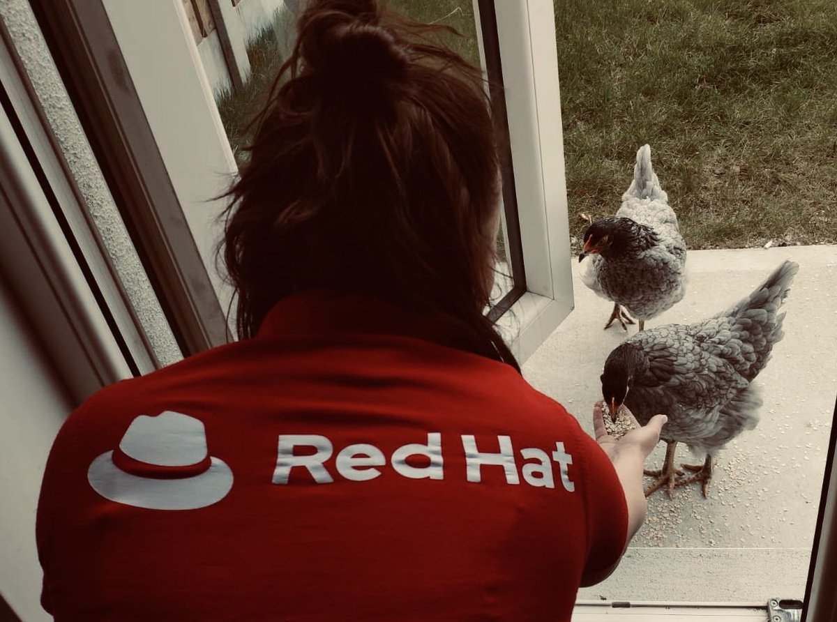 RedHatJobs's tweet photo. “That’s the culture of Red Hat at work. As well as continuing to engineer and release products we take care of each other, even remotely.” - Laura in Waterford Ireland.
Check out Lauras in-office coworkers and her remote work coworkers.  🐔 https://t.co/73vkofEPrm