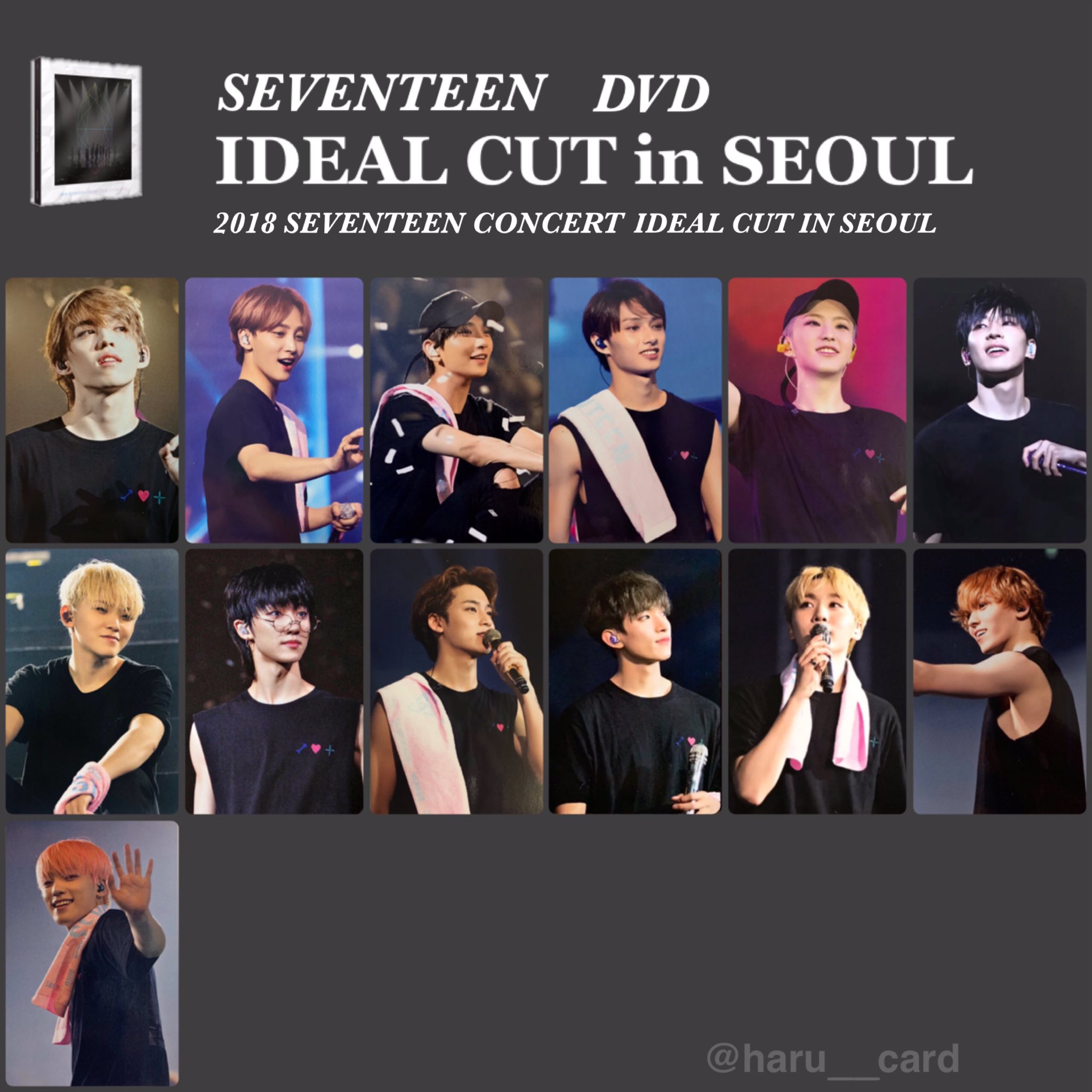 ミンハオ アリーナツアー トレカ DVD seventeen
