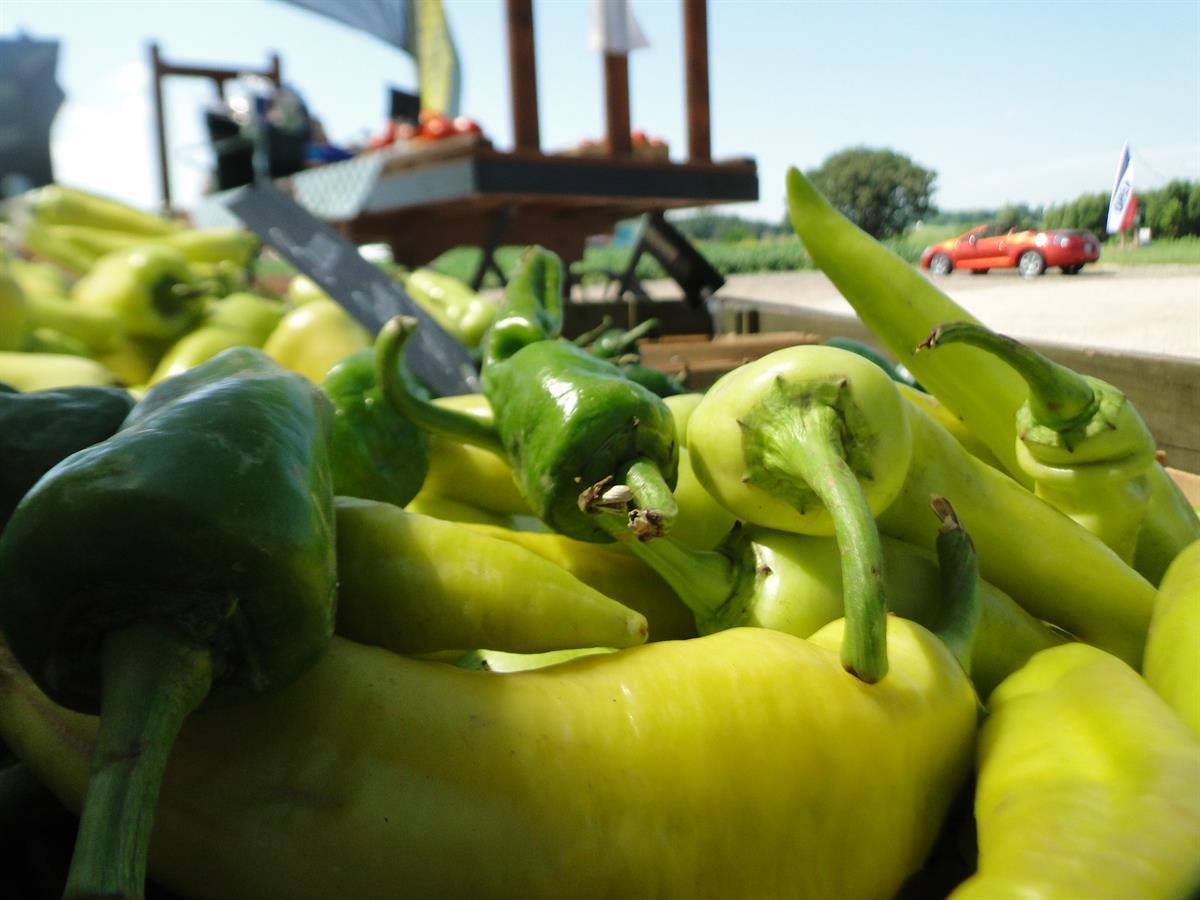 GoebbertsPatch's tweet photo. We're looking forward to summer days with our #FarmFreshGoebbertGrown produce. Have you been cooking more during this time? It's certainly helped us move through our freezer stash! https://t.co/xLIejvq0wh