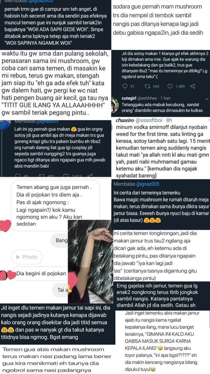 <a href="/victoriayovita/">Victoria Yovita</a> Dulu pernah aku kumpulin jadi satu gini kak, ngakak bgt 😭