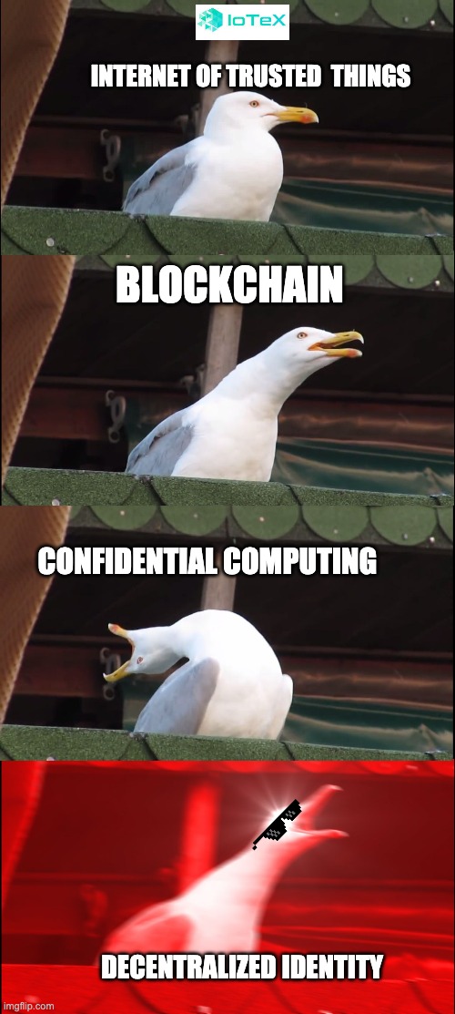 AleXander tweet media