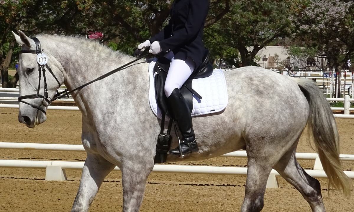 Do you the the <a href="/FEI_Global/">The FEI</a> and other governing bodies rule changes on tack aid #fastfashion? With riders having to throw out perfectly usable tack and equipment just because it doesn't follow rules anymore

#sustainability #WarOnPlastic #ecofriendly #reuse #horse