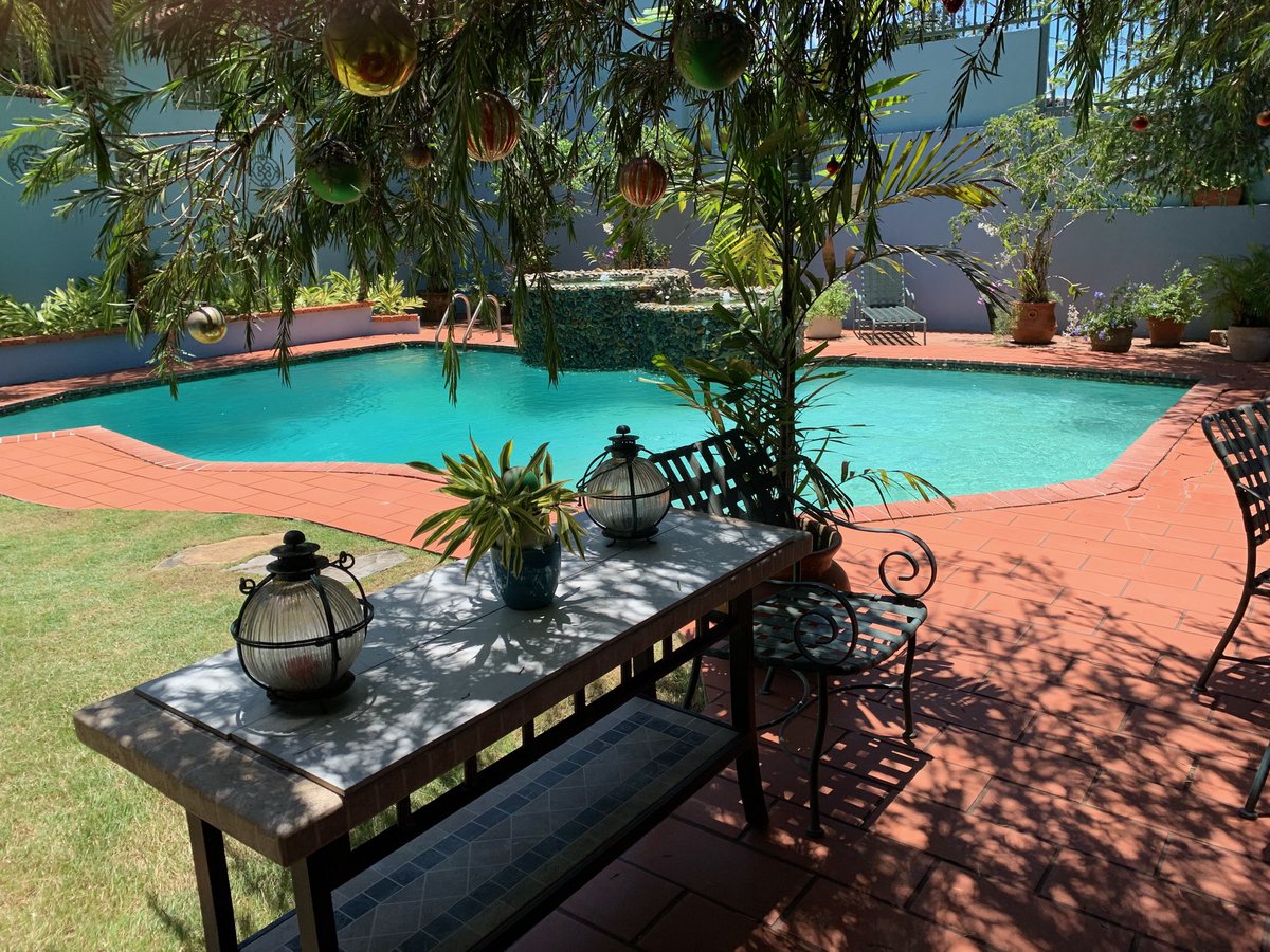 MariHamill's tweet image. #quarantinelife #twitterphotography #readingspaces