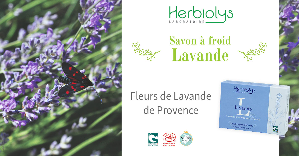Le savon à froid certifié bio "Lavande" vous propose une balade parfumée dans les champs de lavande de Provence. Il est une enveloppe de douceur apaisante pour votre peau.

A retrouver ici: ow.ly/1R5T50yR2jo

#Herbiolys #bio #phytotherapie #gemmotherapie #bourgeon #savon