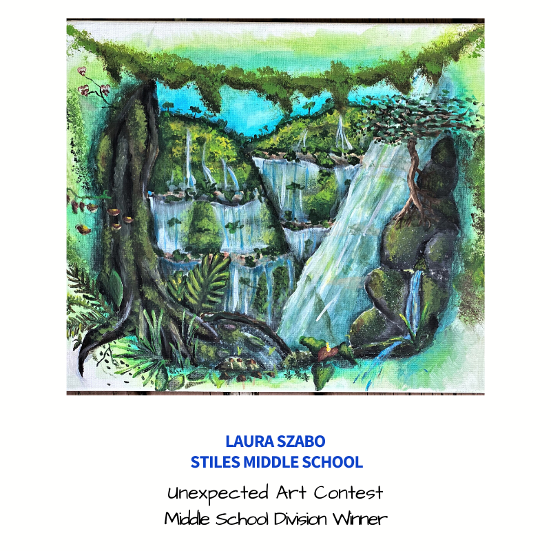 LeanderISD's tweet photo. Spring has budding LISD artists blooming in @LeanderISDPTA's Unexpected Art Contest 🌺 Since school closures, the organization has hosted the weekly contest to encourage and engage. Read about how you can participate 👉 https://t.co/rrj2c5Dge9 Three cheers to this week's winners! https://t.co/9mSD5EW0QN