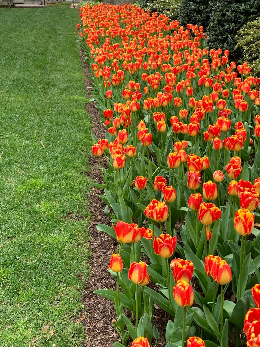 WashingtonParks's tweet photo. "Here on the pulse of this new day
You may have the grace to look up and out
And into your sister's eyes, and into
Your brother's face, your country
And say simply
Very simply
With hope
Good morning."

-Maya Angelou, On The Pulse of Morning

#thinkoutside #DCnature #DCParks https://t.co/VHiH2qmBdg