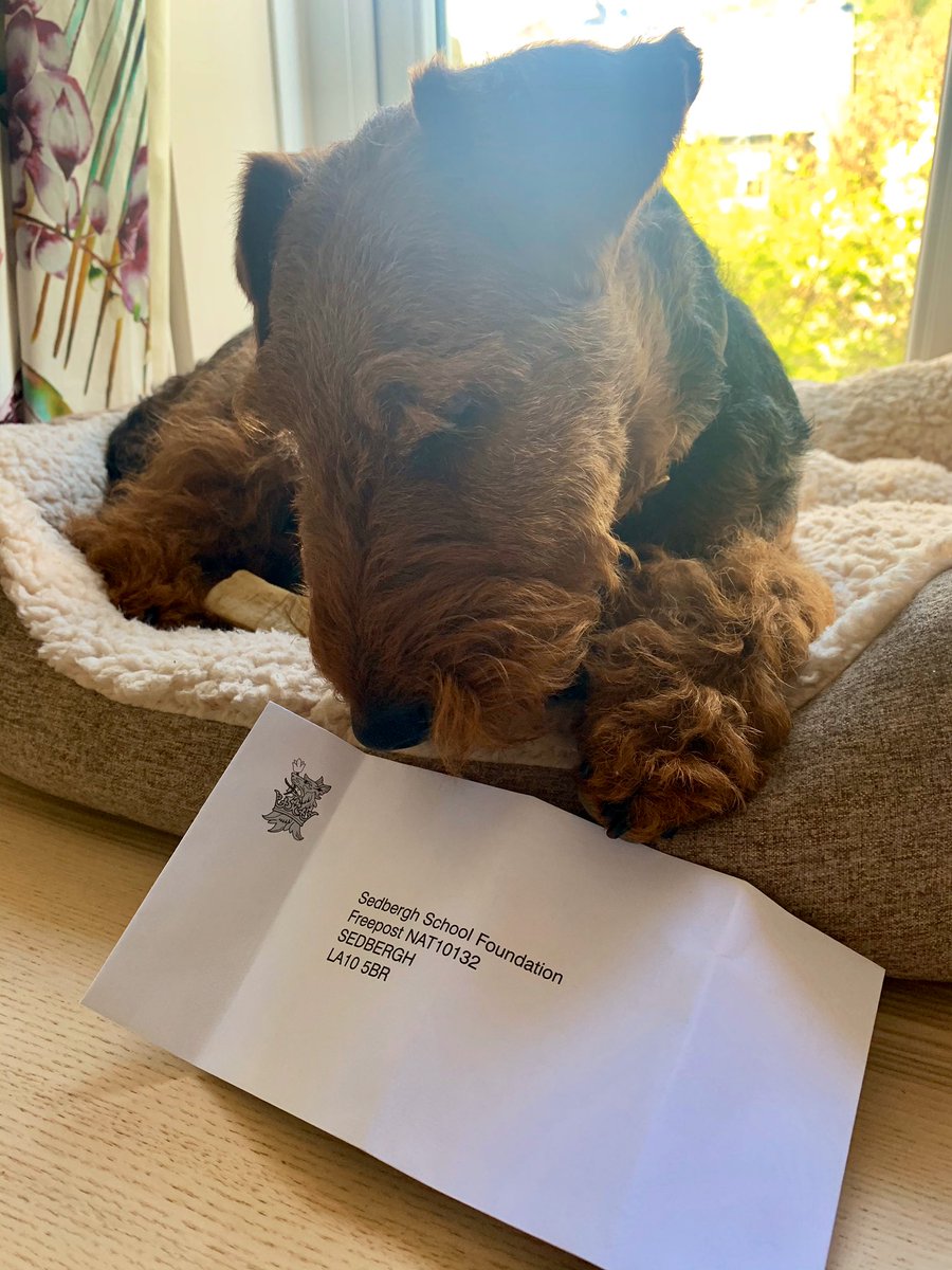 Foundation Terrier #2 would like to reassure you all that we are still receiving post, despite working from home/kennel. Please do continue to send us things!
