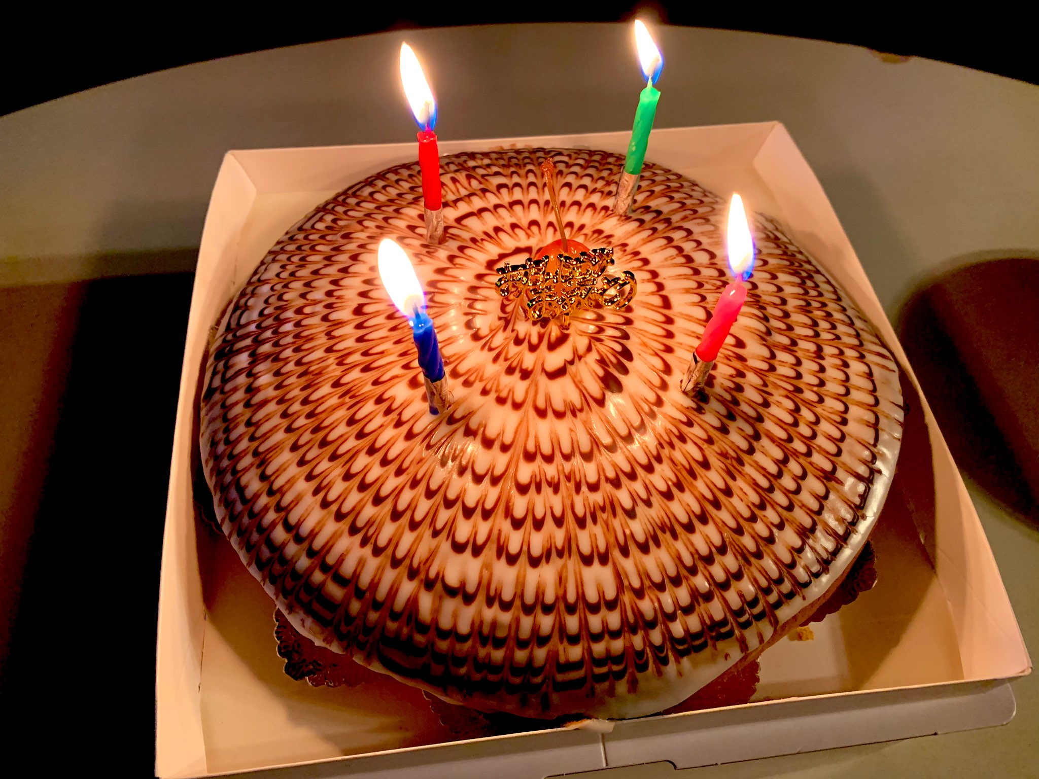 内藤由良 Yura Naito この世のカスタードクリームと生クリーム好きに教えたいケーキ 横浜でしか食べられない 浜志まん のボストンクリームパイ 独特な模様の見た目 そして中はカスタードクリームと生クリームの最強コラボ 誕生日ケーキはいつも