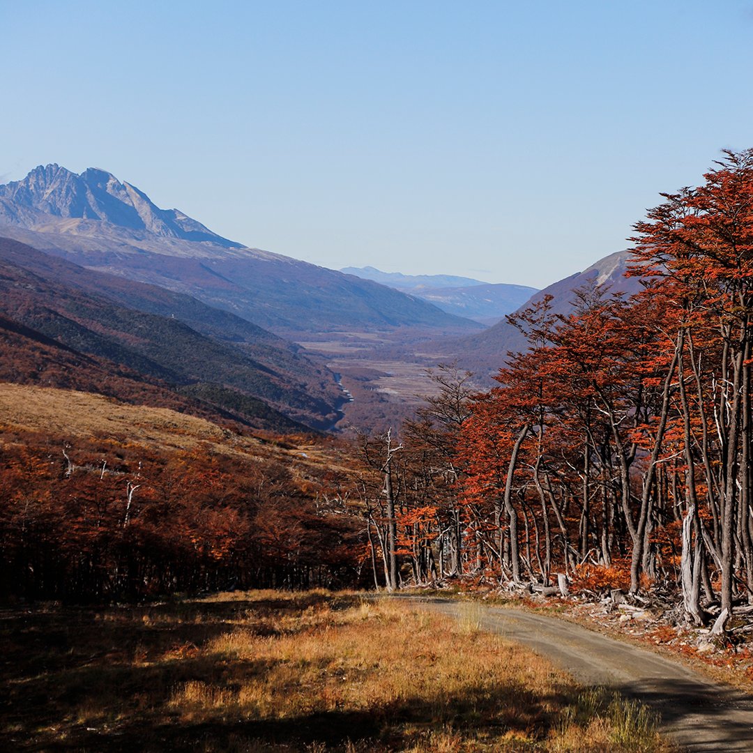 Pasamos por acá a dejarte una postal de #CerroCastor en otoño 🍂😍🗻 ¿Qué te parece?
📸: Flor Garro
#iLoveCerroCastor