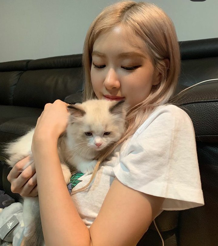 The day she met lily