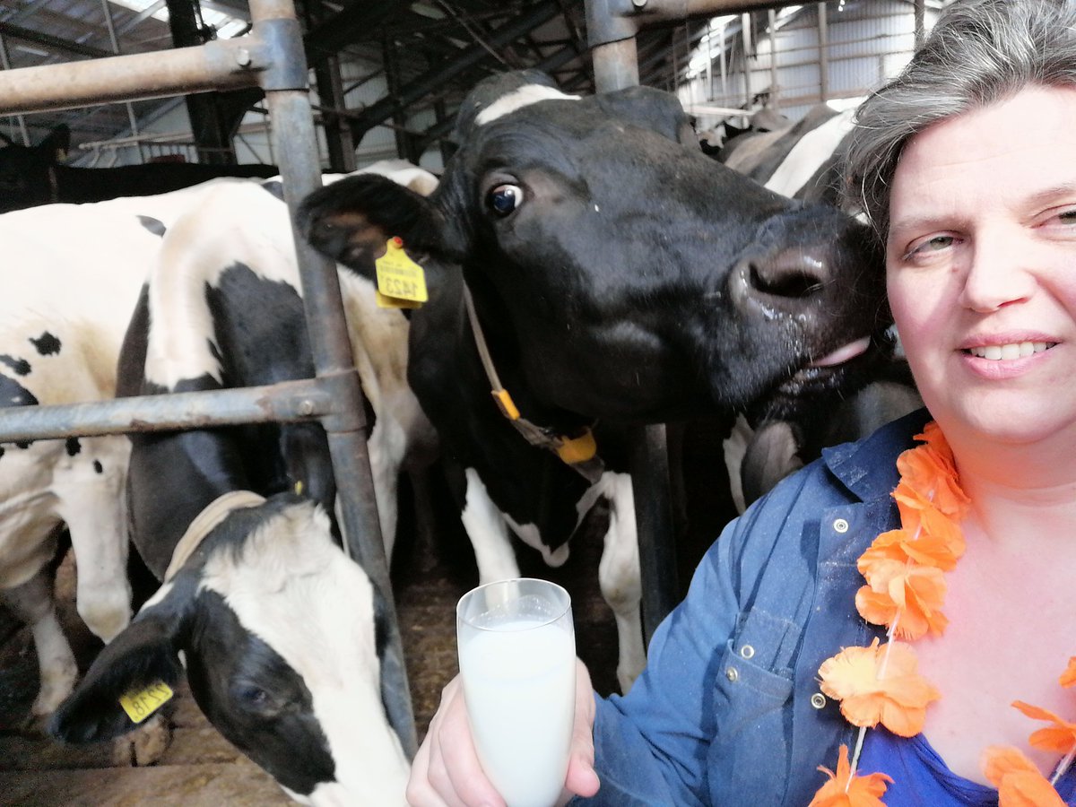 annemiekschinke's tweet photo. Proost allemaal, 🥂👑 #toost
#koningsdag2020
Nog even niet aan de alcohol, want het werk moet eerst klaar! (gelukkig geen anderhalvemeter regel hier 🐮💋😝)
#groetenuitdemelkput 🧡 voor
@koninklijkhuis https://t.co/1kKzOPZfSI