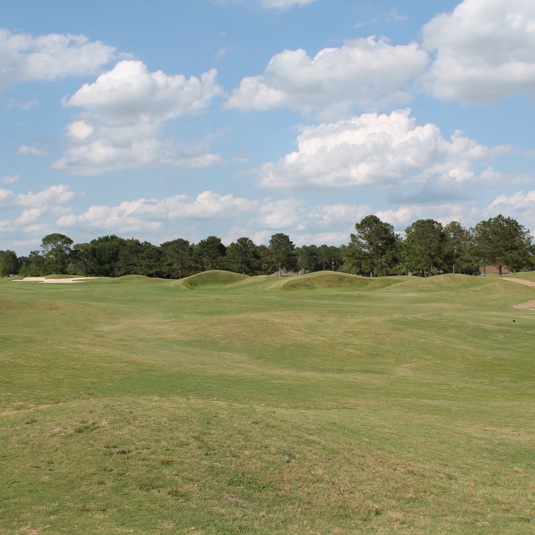 GlenLakes golfers--  The Dunes course will be CLOSED on Tuesday for spring greens aeration.  The Vista to Lakes rotation will be OPEN for golf play on Tuesday.

We apologize for this necessary maintenance, 
GlenLakes Golf Staff