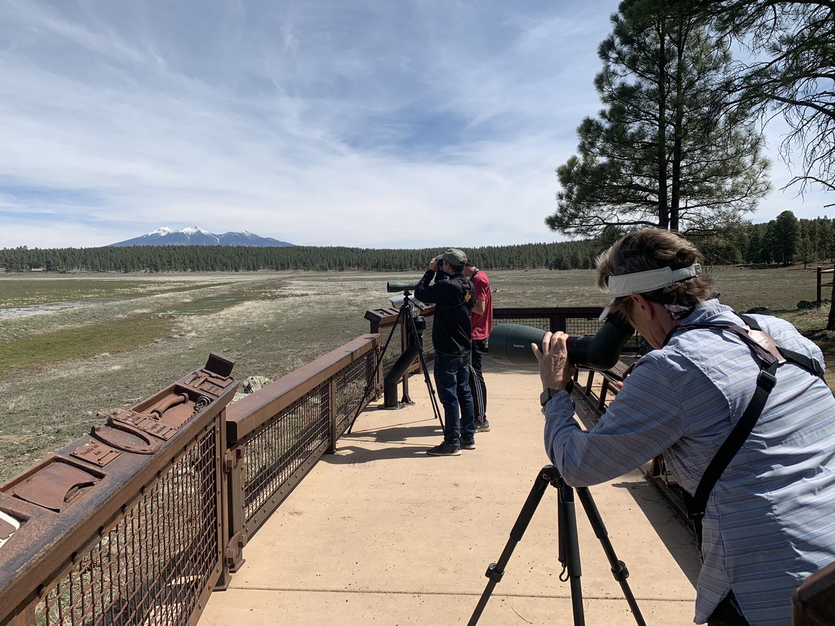 sky_lepidus's tweet photo. We’ve been getting out doing a lot of hiking and birding. My mom got 62 species yesterday while the chunk of dog and I hiked 5 mile. #SocialDistancingOutside #hiking #birding #dogsoftwitter https://t.co/xNZZk3k9ID