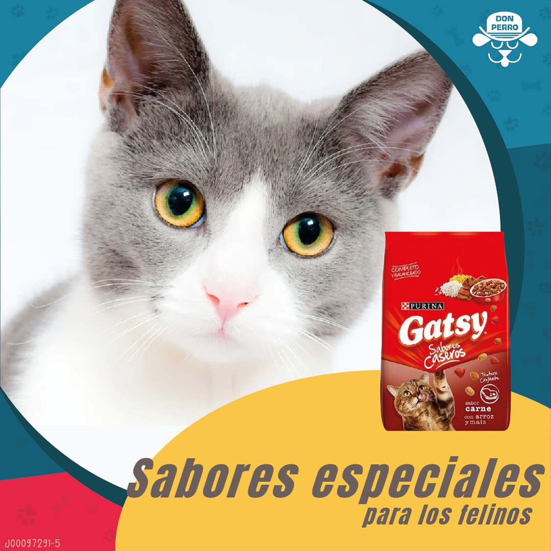 Consigue los productos Gasty® en 
<a href="/tiendasdonperro/">Don Perro</a>