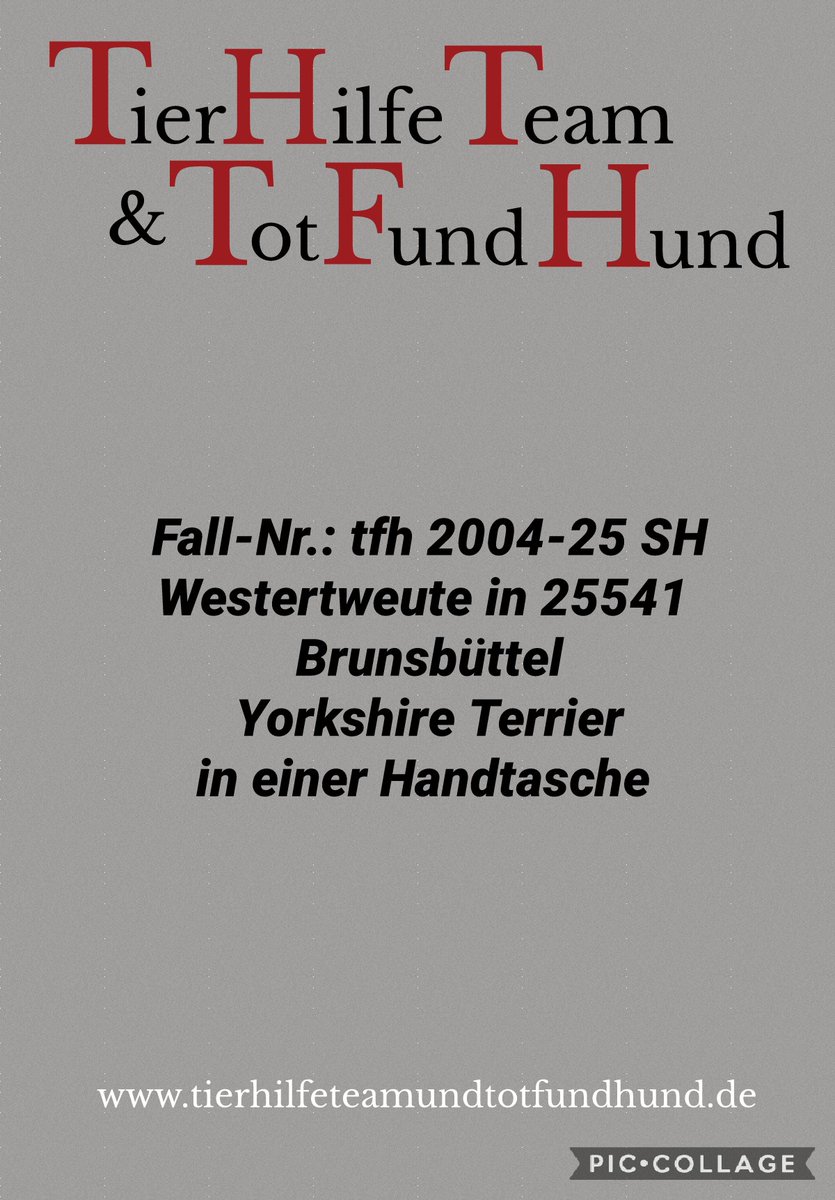 TierhilfeT's tweet photo. https://t.co/l4kuFv5BQ3 https://t.co/LHA7KPoS0Q