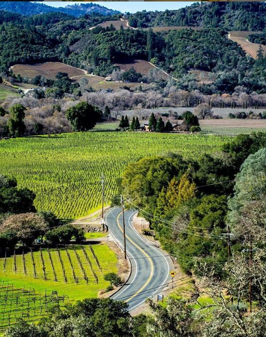 For your virtual traveling pleasure, we give you the stunning views from Dry Creek Valley. #WineCountry #travelsomeday

PC: @OmarShinez (View from the  terrace <a href="/TrattoreFarms/">Trattore Farms</a>).