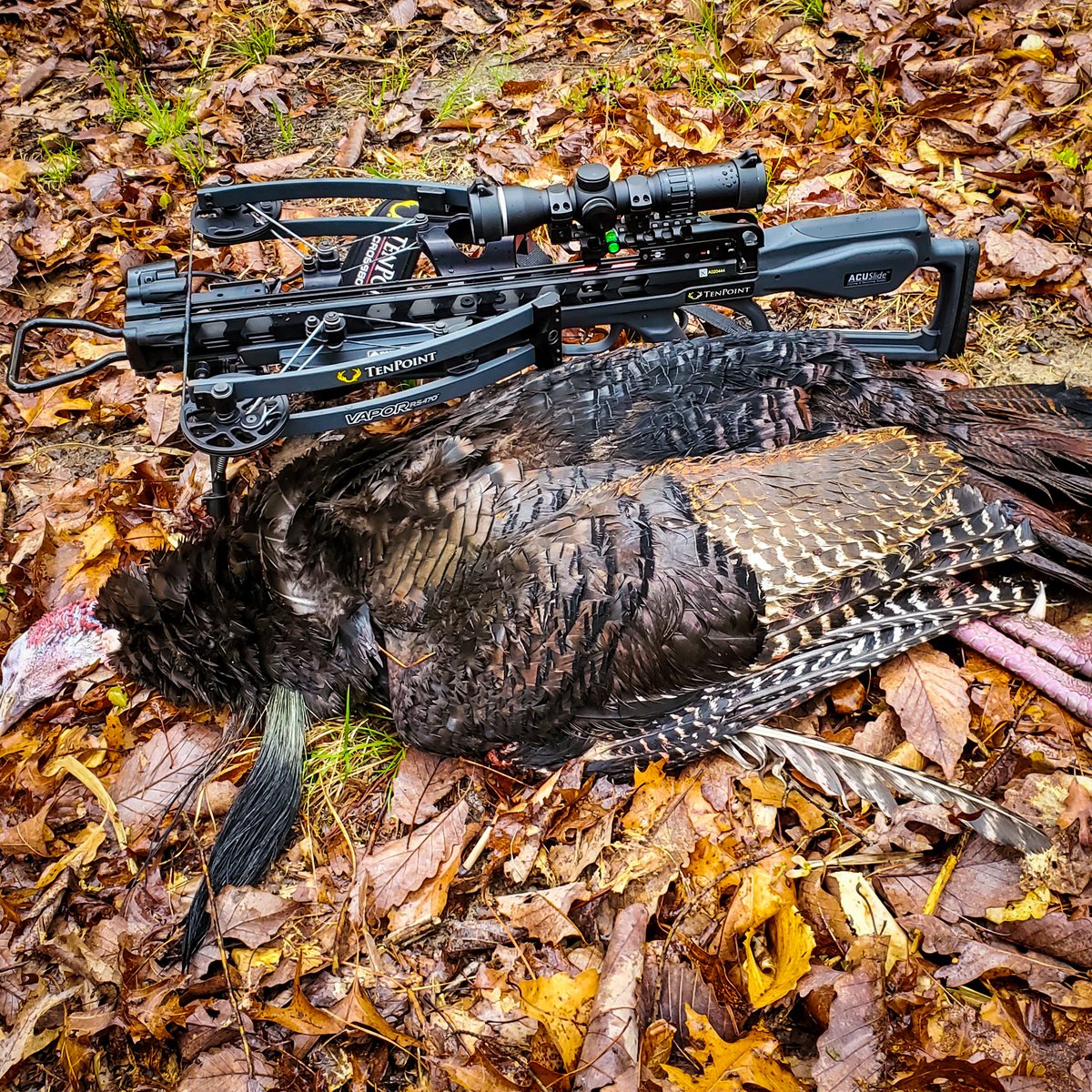 "Got my new Vapor RS470 on April 13th and 5 days later it did the job on this beautiful, double-bearded spring turkey."  -Troy Summers

Powered by a reverse-draw design, the Vapor is precision-built for lights out speed and accuracy.

#tenpointcrossbows #crossbow #turkeyhunting