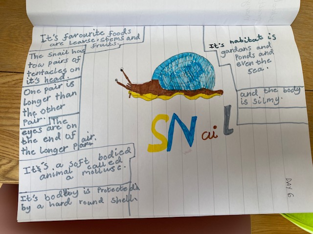 PickhurstNEST's tweet image. Eva in Year 2 has been a busy scientist carrying out a snail investigation! Look at all the lovely food snail was offered, well done Eva!