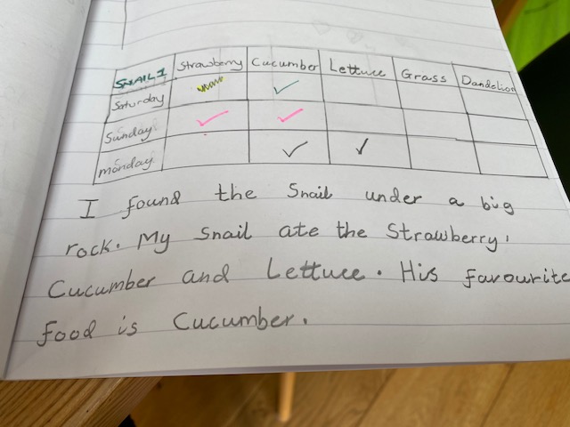 PickhurstNEST's tweet image. Eva in Year 2 has been a busy scientist carrying out a snail investigation! Look at all the lovely food snail was offered, well done Eva!