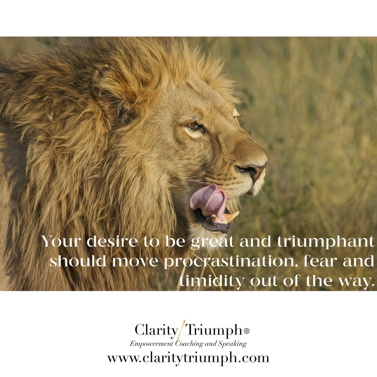 ClarityTriumph's tweet photo. #empower #empowerment #claritytriumph #lifecoach
#greatness https://t.co/kODSF6QF7l