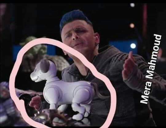 Nada Rabie (@NadaRabia10) | Twitter