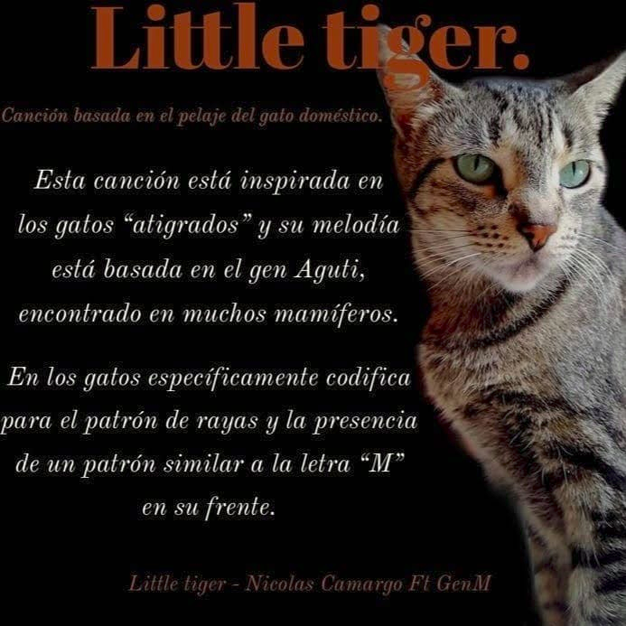 GenM_actg's tweet photo. Nueva canción de GenM!!!!
https://t.co/2aKI6wZKdO https://t.co/wUBVMH9xJF