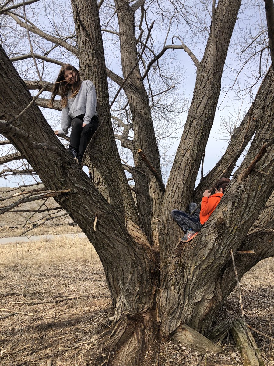SandZito's tweet photo. Natures play structure 🌳 https://t.co/IiBx0xjLBY