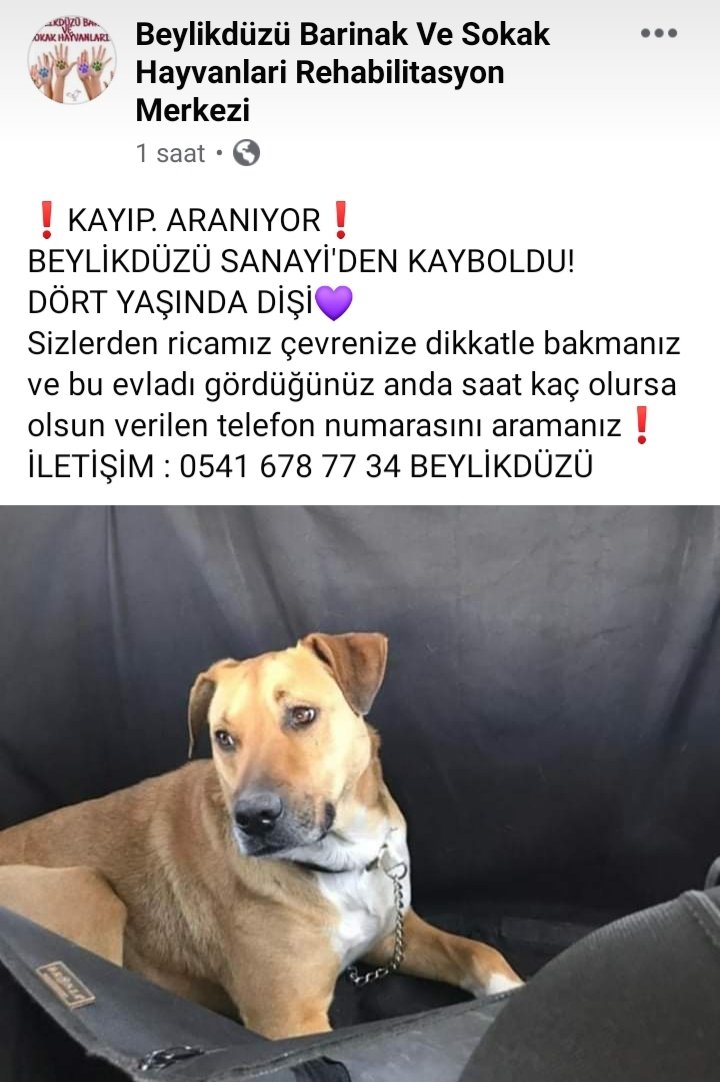 aslı (@dilekss) on Twitter photo 