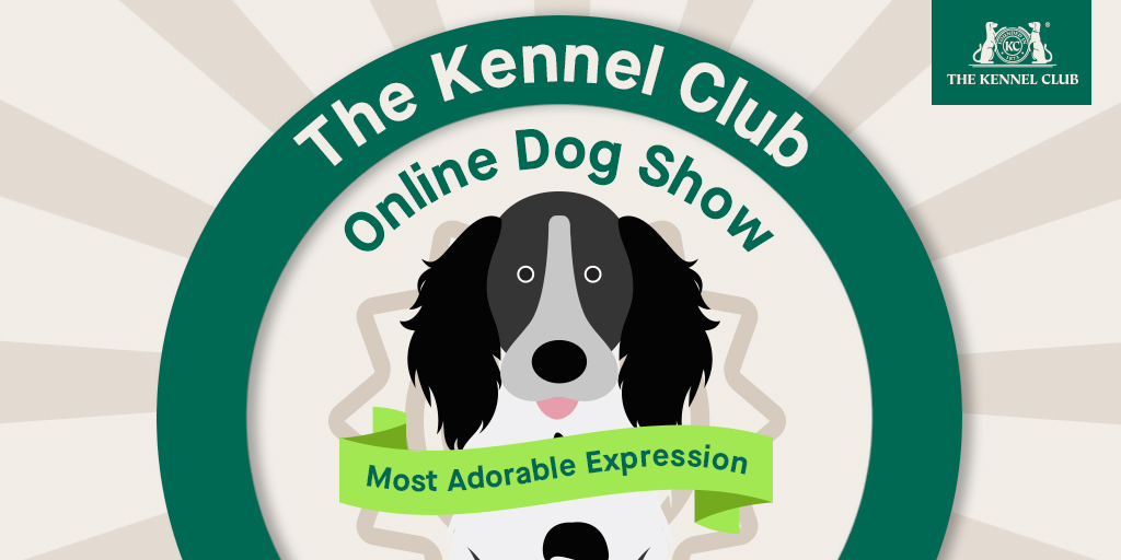 TheKennelClubUK's tweet photo. Does your dog have what it takes to be crowned MOST ADORABLE EXPRESSION in #TheKennelClubUKOnlineDogShow?! 👑 🐶

To enter this class, simply reply to this tweet with a photo of your dog and include the # above.

More info about the show: https://t.co/TKgs7c3Pes https://t.co/A2nugVH1C3