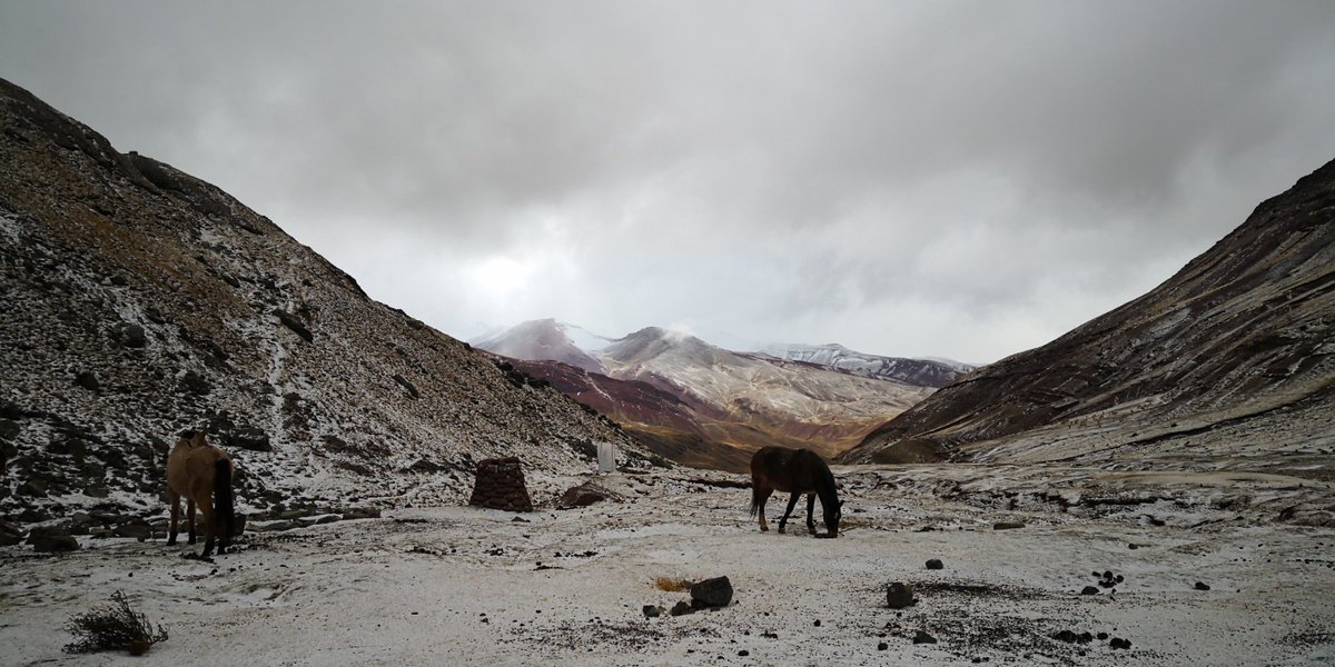 cooper_kerry's tweet photo. #virtualPeru - Day 16. once again we woke to a dusting of snow, we pack up and headbover Apacheta pass, around pucacocha lakes. Its like Elbrus and Scotland combined! We finish the day just after lunch in a place called upis. https://t.co/nTkQArKVkF