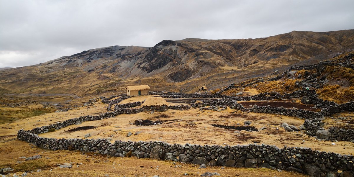 cooper_kerry's tweet photo. #virtualPeru - Day 16. once again we woke to a dusting of snow, we pack up and headbover Apacheta pass, around pucacocha lakes. Its like Elbrus and Scotland combined! We finish the day just after lunch in a place called upis. https://t.co/nTkQArKVkF