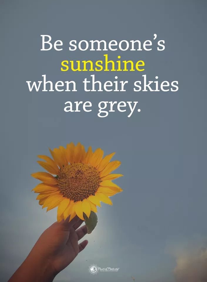 Angiedass's tweet photo. #StayHomeStaySafe https://t.co/23k8yhFcoD