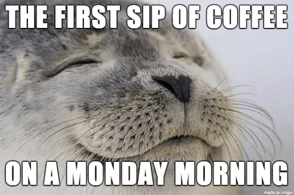 lileccabin's tweet photo. How'd everyone's morning go? ☕
#coffee #coffeeshop #coffeelovers #coffeetime #coffeebreak #espresso #latte #coffeeholic #coffeecabin #airroastedcoffee #coffeegram #coffeeoftheday #indianacoffee #coffeememes https://t.co/Eqk7regyUt
