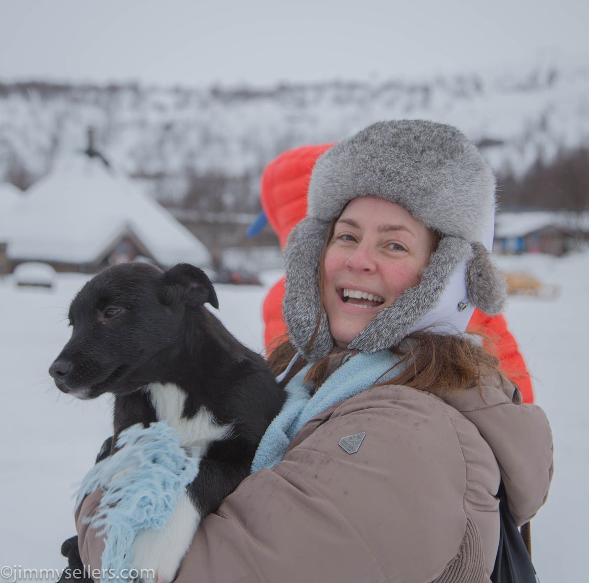 SimmyJellers's tweet photo. Unfortunately, I was only able to bring one of these happy things home from the Snow Hotel in Norway #puppythief #praiseodin #dogs #husky #sleddogs #animalphotography #kirkenes #norway #norge @nordicvisitor #bestofsnowhotel #puppy @hurtigruten #nordnorge #dogsledding #workingdogs https://t.co/7n808hzO6H