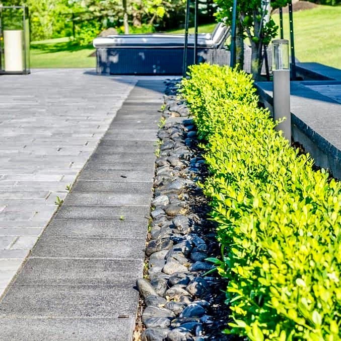stonearchca's tweet photo. #pebbles are low maintenance #landscapematerial that’ll work in a wide variety of applications and will give your #landscape that #rustic charm
-
#STONEarch #naturalstone #pebblestone collection is available in black with a polished finish and white in matte-finish https://t.co/lI84qeKOeP