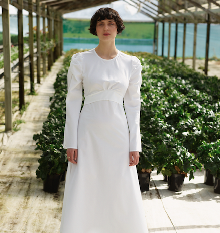 BODE Magazine tweet media