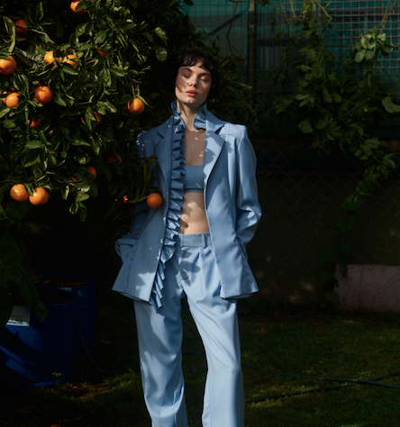 BODE Magazine tweet media