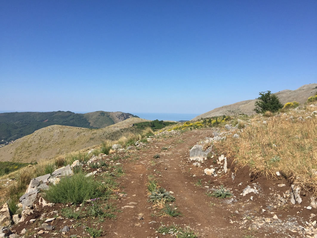 InfoCilentoWeb's tweet photo. Un progetto per riqualificare i ...
#CilentoNotizie #GalCilentoRegeneratio #MonteStella #Montecorice #MontecoriceNotizie #PollicaNotizie #SanMauroCilento #SanMauroCilentoNotizie #Serramezzana #SerramezzanaNotizie #StellaCilento #StellaCilentoNotizie
https://t.co/x9CGZ7r1Nn https://t.co/UiKUApYixc