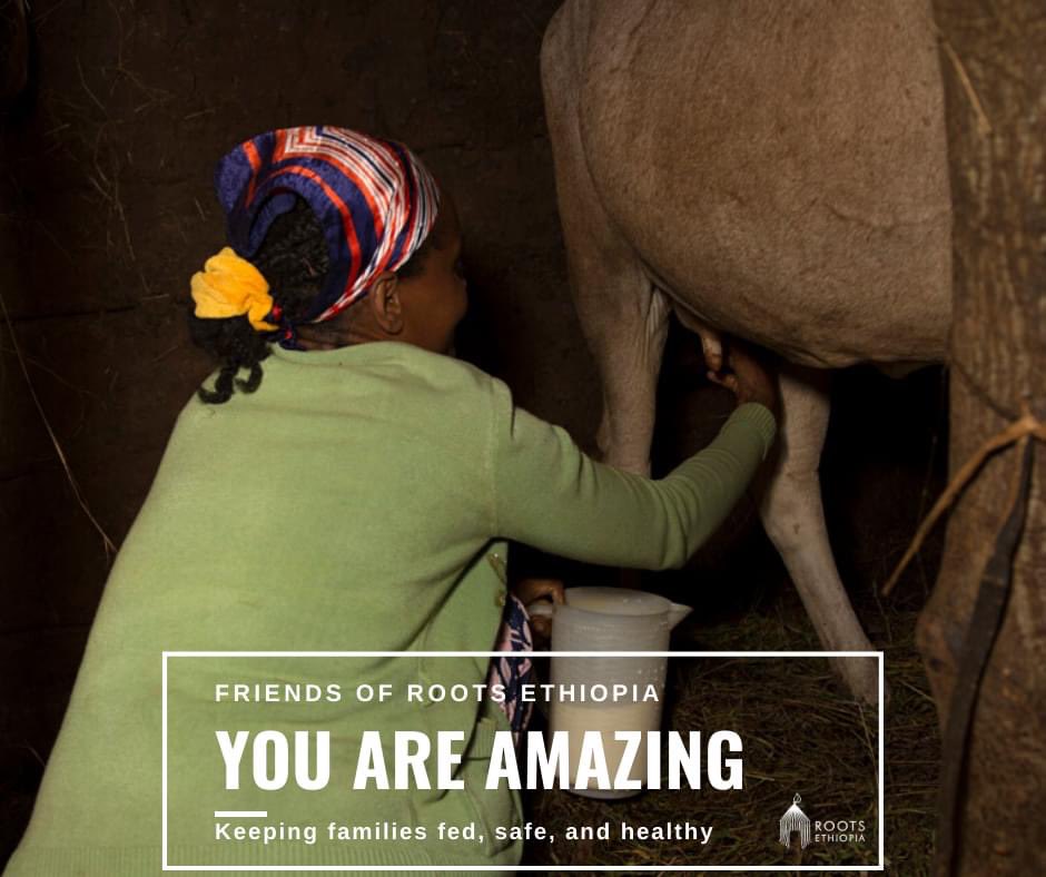 rootsethiopia's tweet photo. You really are amazing!! We have nearly met our goal and our team is preparing all the supplies to help families stay fed, together, and safe during Coronavirus. Your dedication is beautiful! #CaringinCommon #COVID19 #Ethiopia #foodforfamilies https://t.co/5v3P97Agty