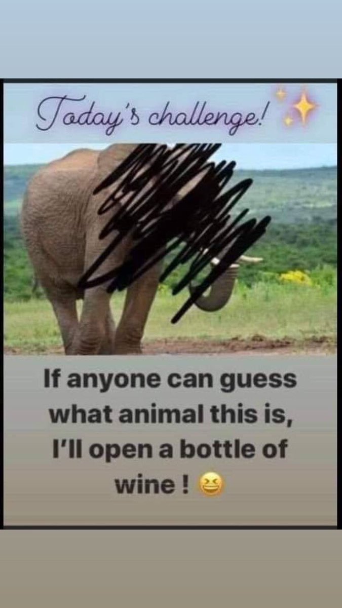 🍷🍷🍷