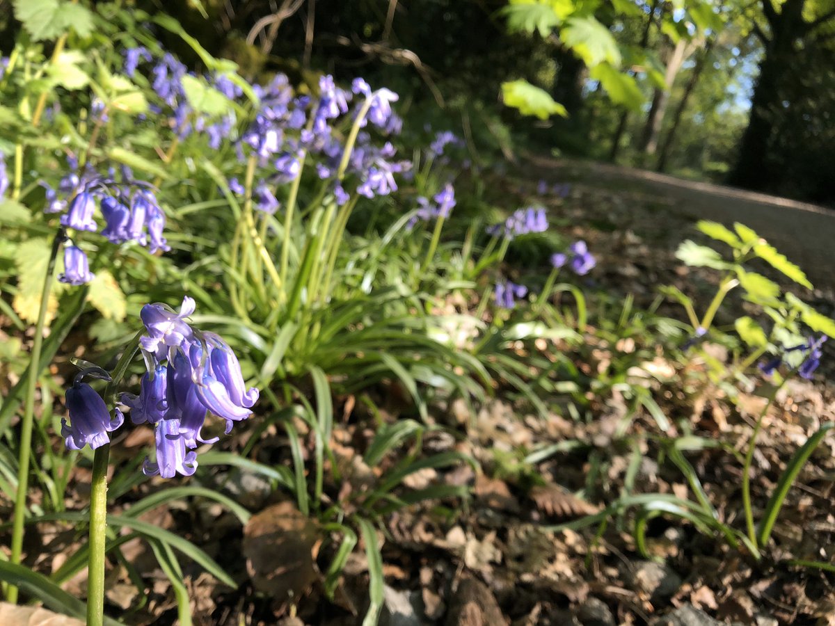 WOEllisRAFAC's tweet image. Almost a week late in starting, but finally kicked off my #Hurricane80kChallenge today! Lovely day for it too 🙂☀️