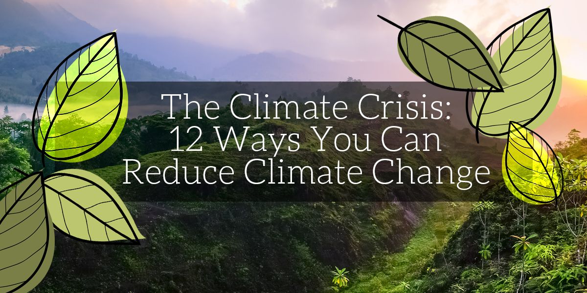 Can I Actually Make a Difference to the #Environment? 🌞

There is hope! You can do much more to reduce #climatechange than you may realize. Learn more: buff.ly/2KzPDAR