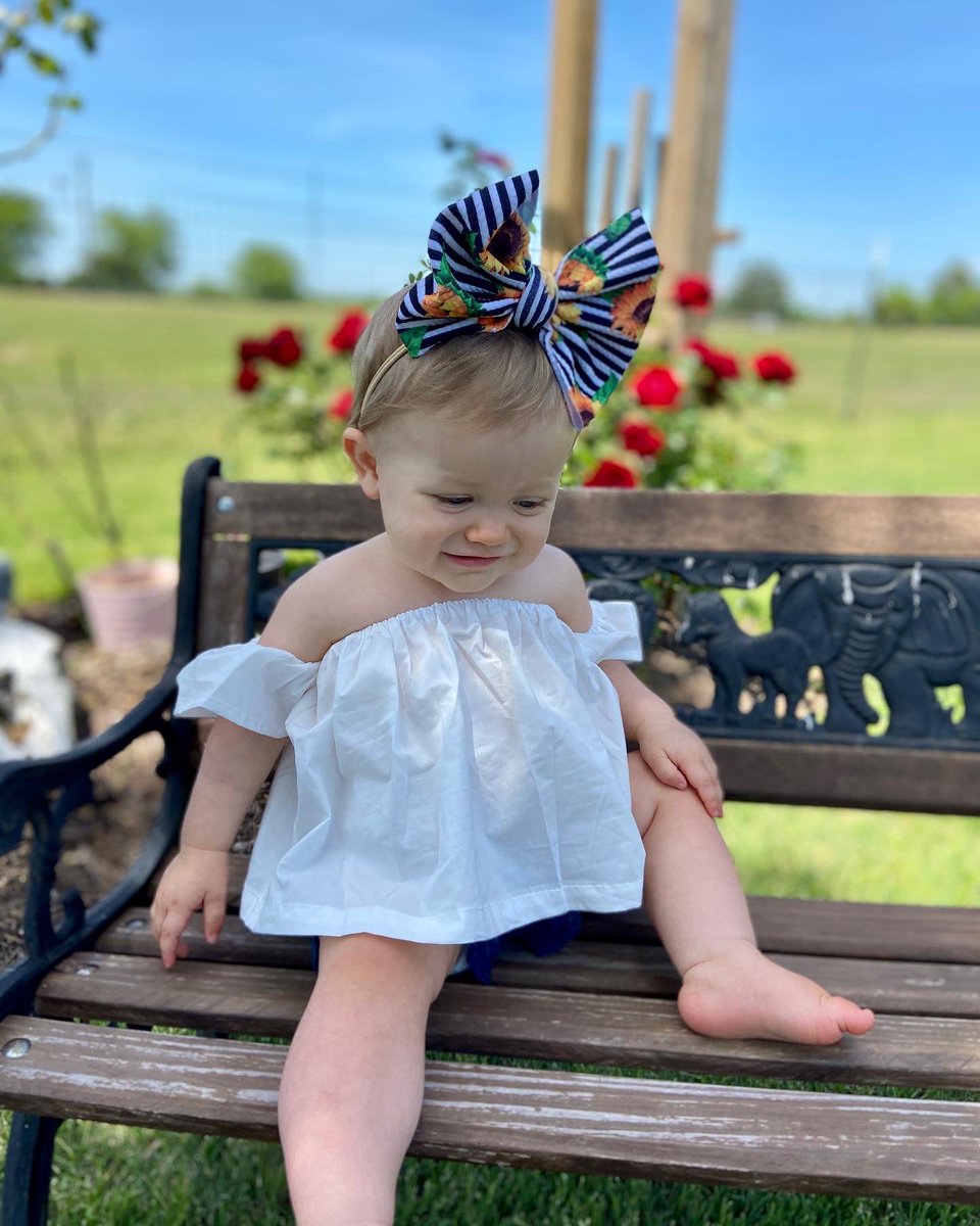 Cassidy McDaniel tweet media