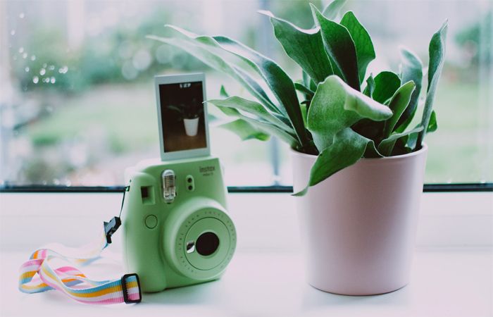 Contentviralcom's tweet image. Best Kids Instant Print Camera
#KidsInstantPrintCamera #KidsCamera #PrintCamera #KidsToys #Kids #Technology #ContentViralCom
bit.ly/3aCLI0A