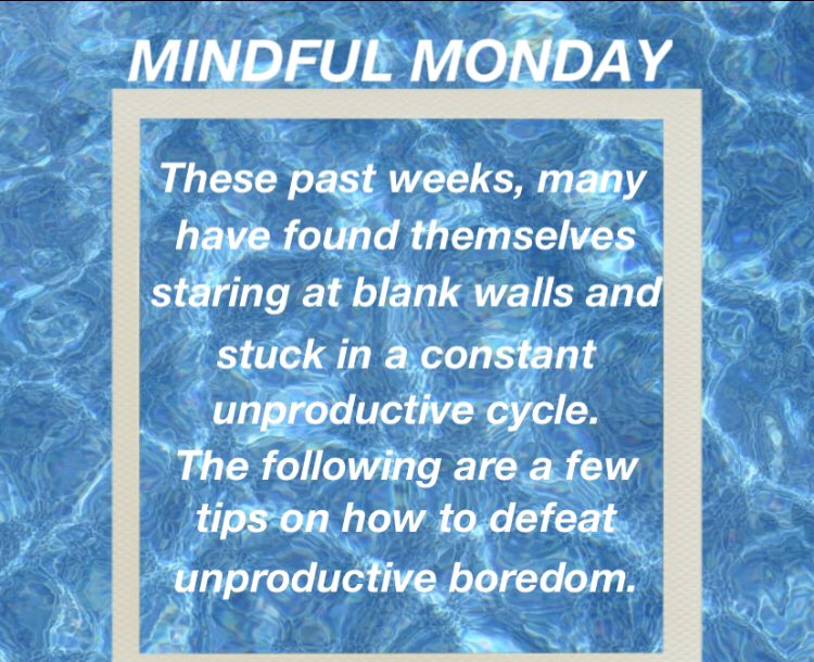 CPSS Student Activity Council tweet media