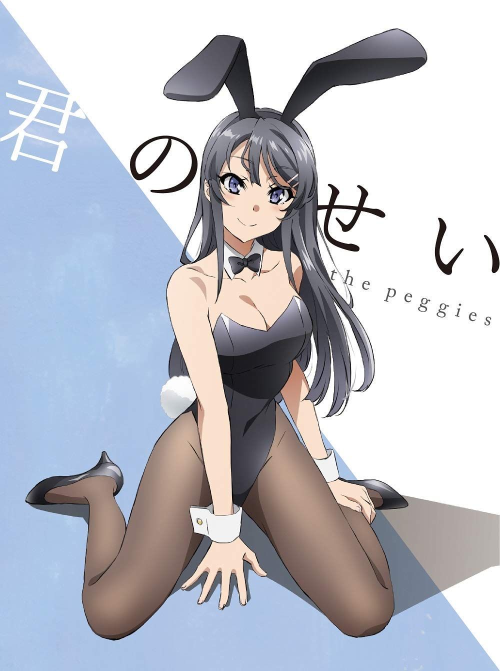 Seishun Buta Yarou wa Bunny Girl Senpai no Yume wo Minai, News
